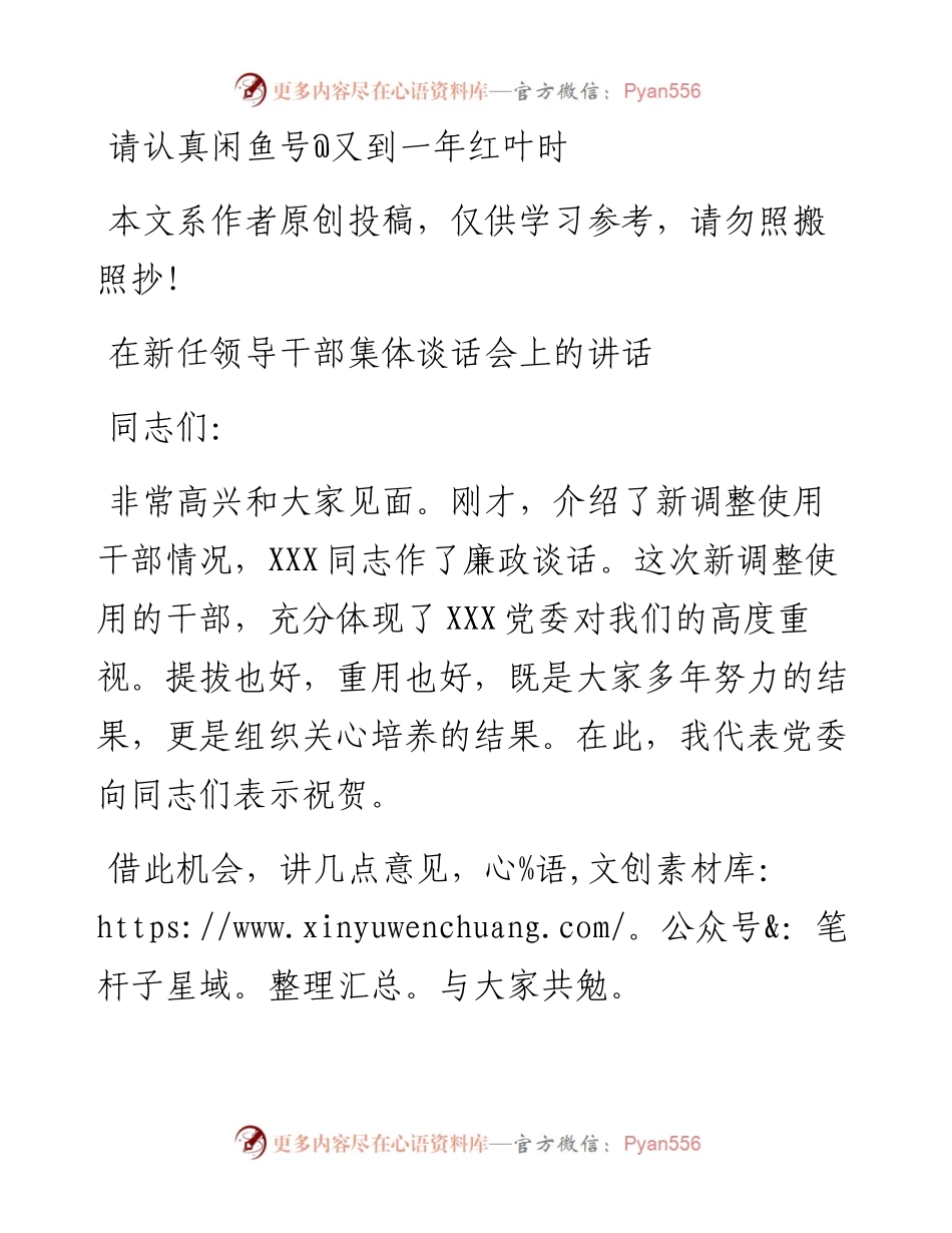 1902132-在新任领导干部集体谈话会上的讲话.docx_第1页