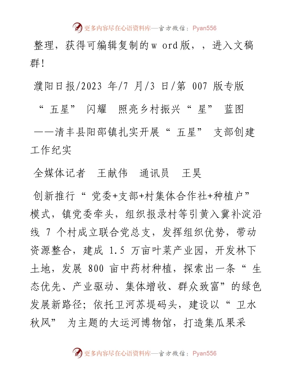 2023.07.03全媒体记者王献伟通讯员王昊：五星闪耀照亮乡村振兴星蓝图.docx_第1页