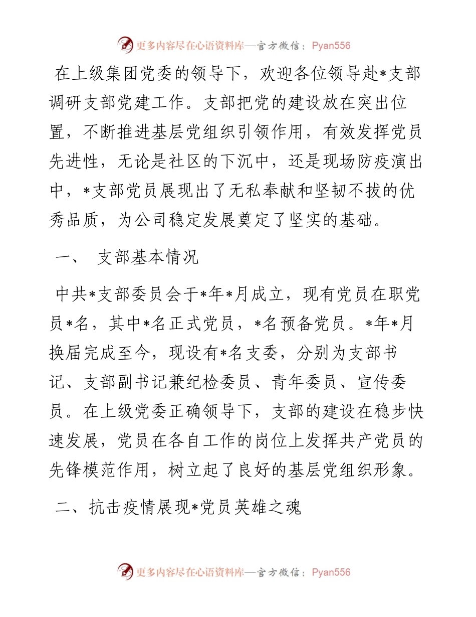 1013某支部党建工作情况汇报.docx_第1页