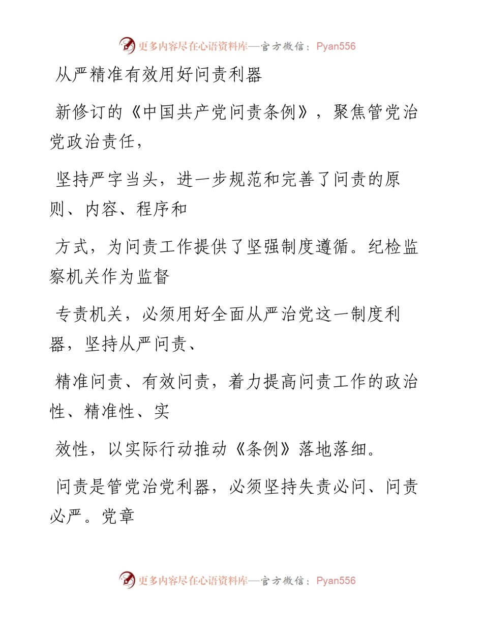 1028从严精准有效用好问责利器_1.docx_第1页