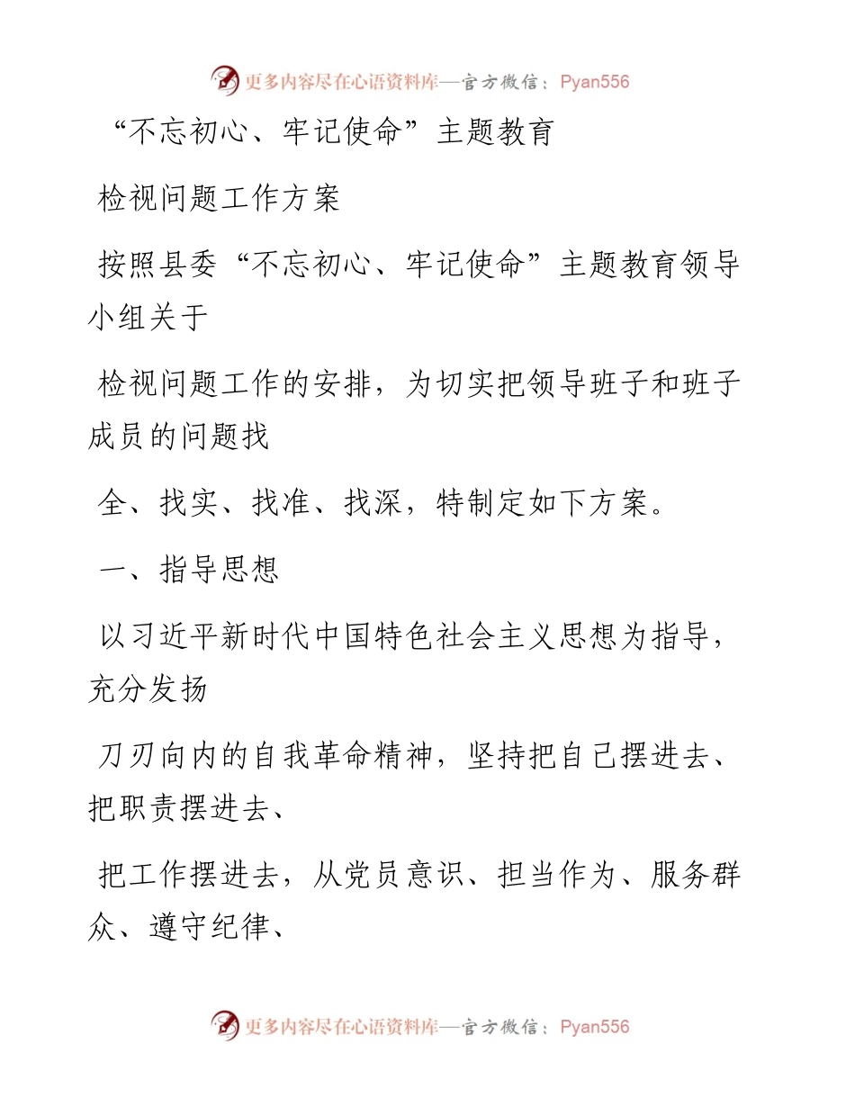 1111笔友分享不忘初心牢记使命主题教育检视问题工作方案.docx_第1页