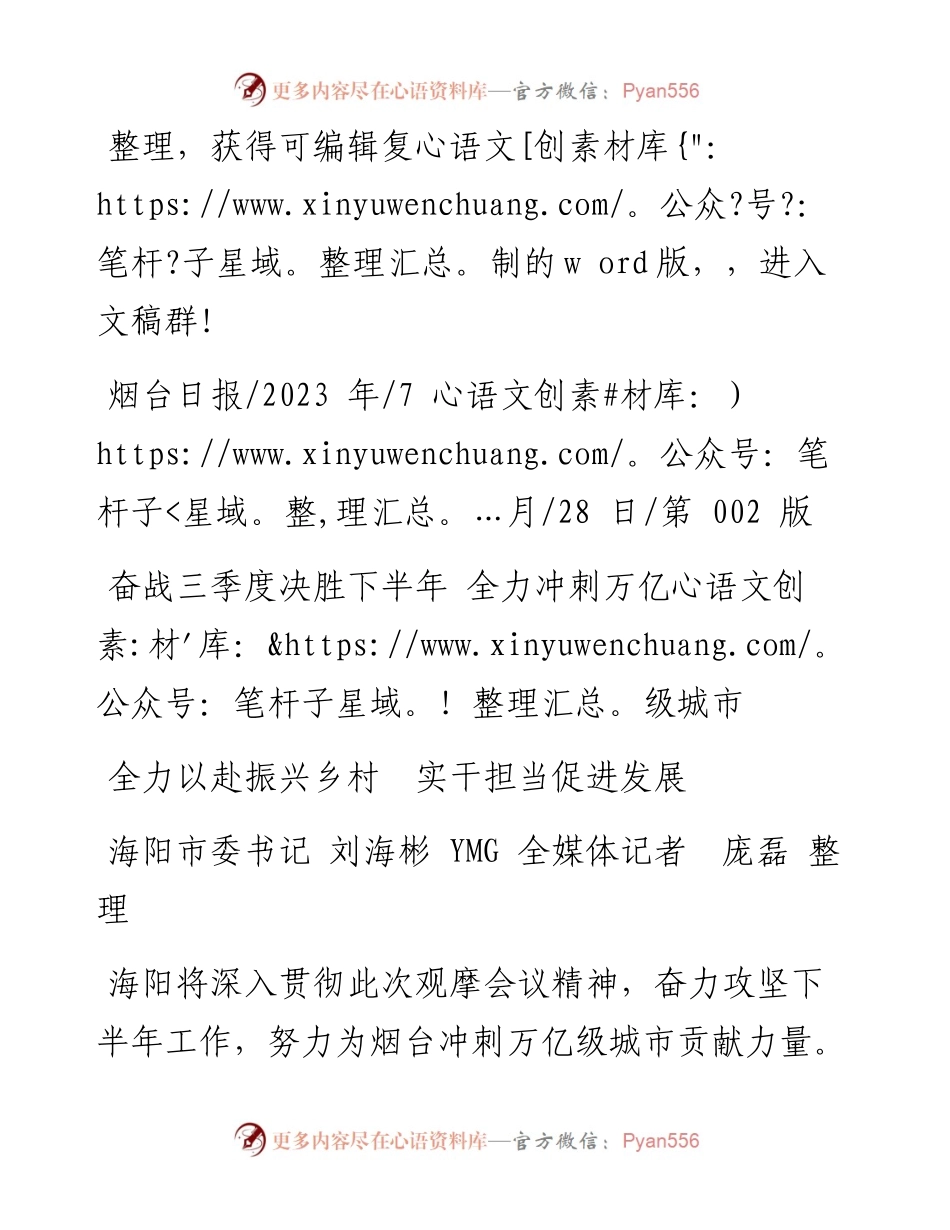 2023.07.28海阳市委书记刘海彬YMG全媒体记者庞磊：全力以赴振兴乡村实干担当促进发展.docx_第1页