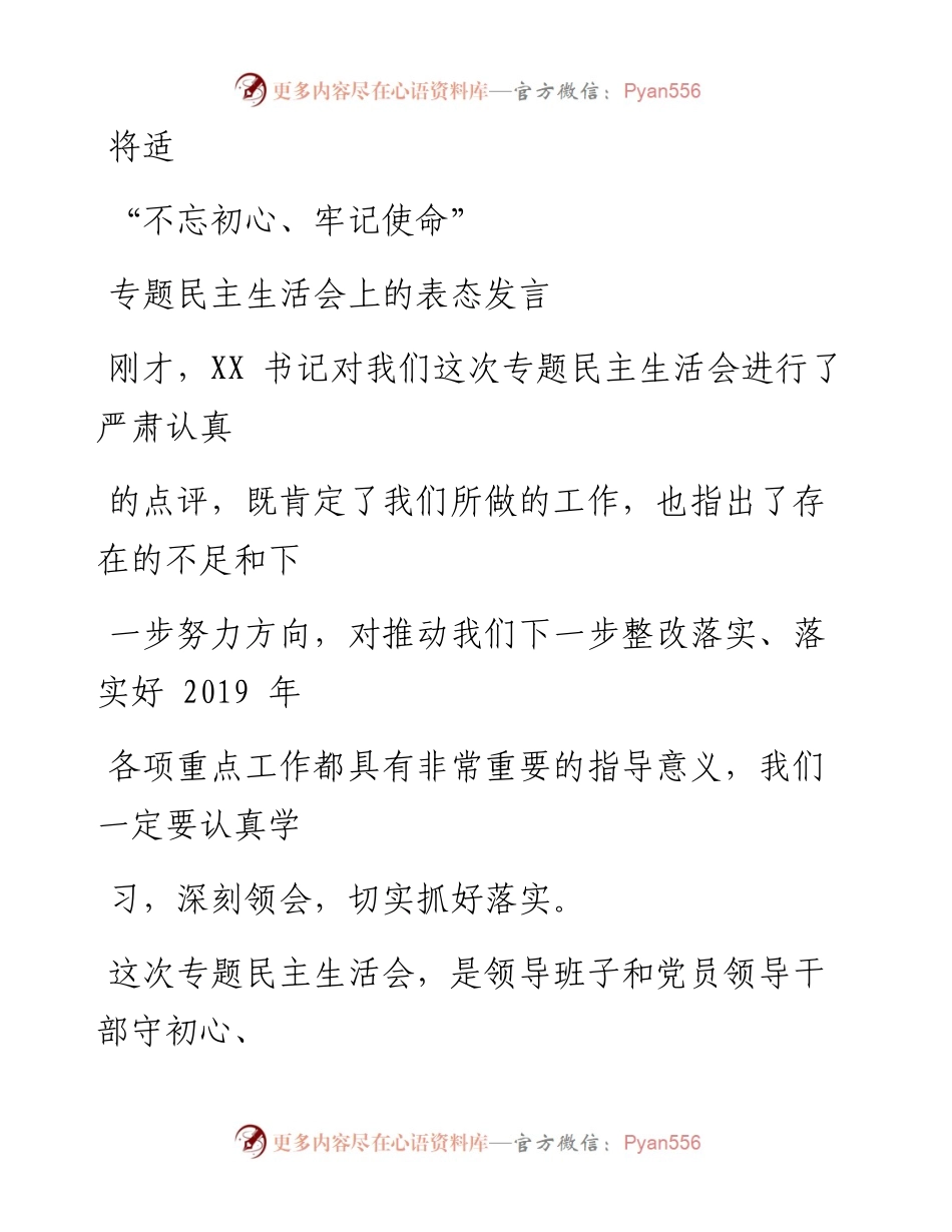 1114笔友分享不忘初心牢记使命专题民主生活会上的表态发言.docx_第1页