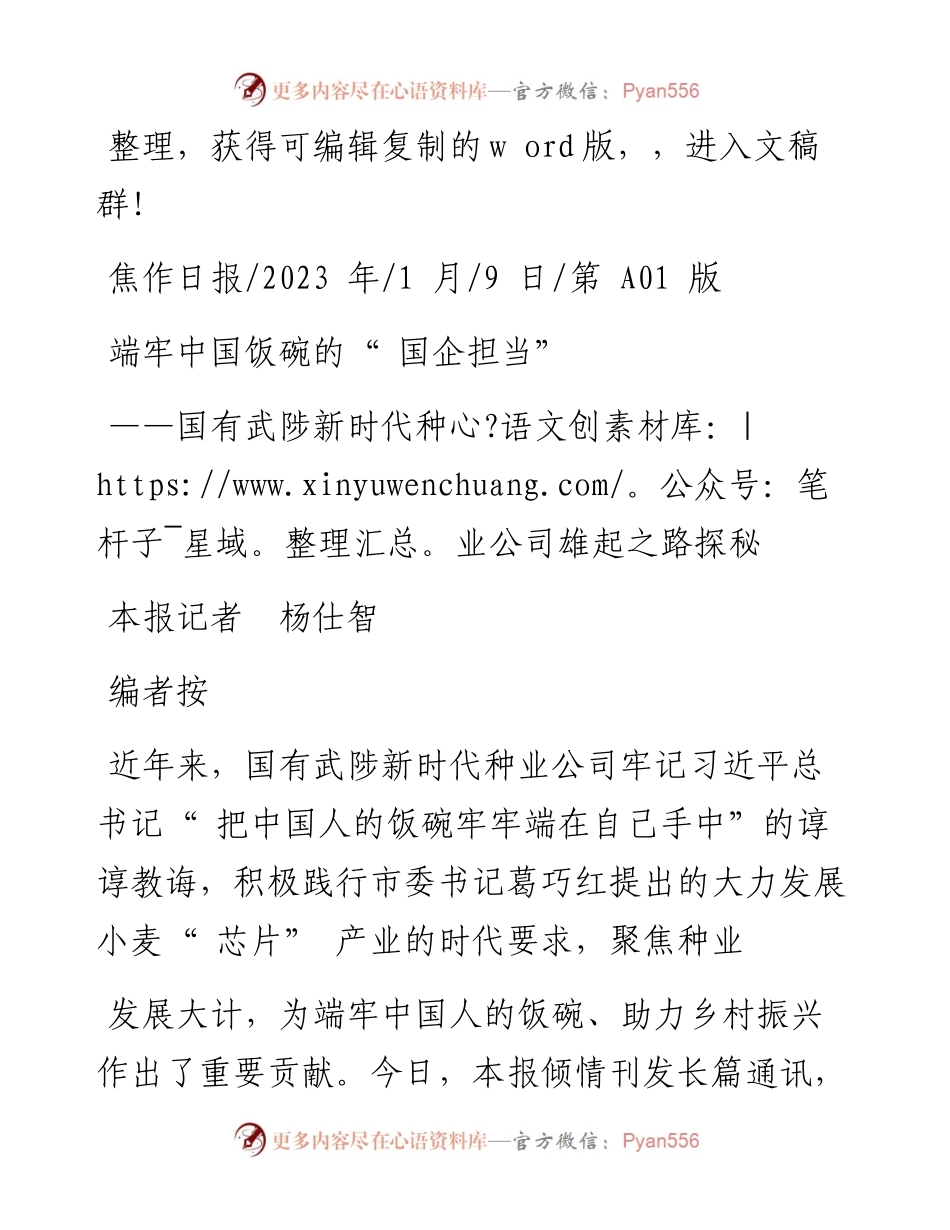 2023.01.09本报记者杨仕智：端牢中国饭碗的国企担当.docx_第1页