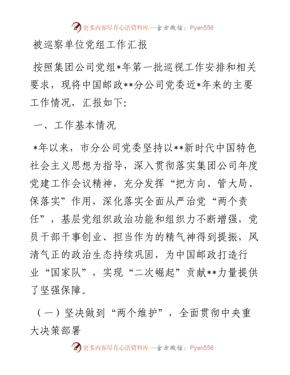 20230306：被巡察单位党组工作汇报.docx_第1页