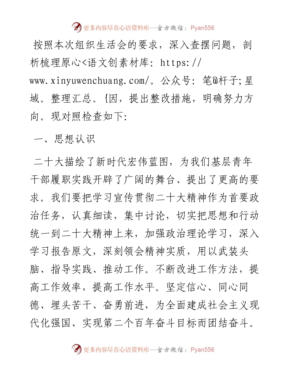 2023年度组织生活会个人对照检查材料（单位主要负责人.docx_第1页