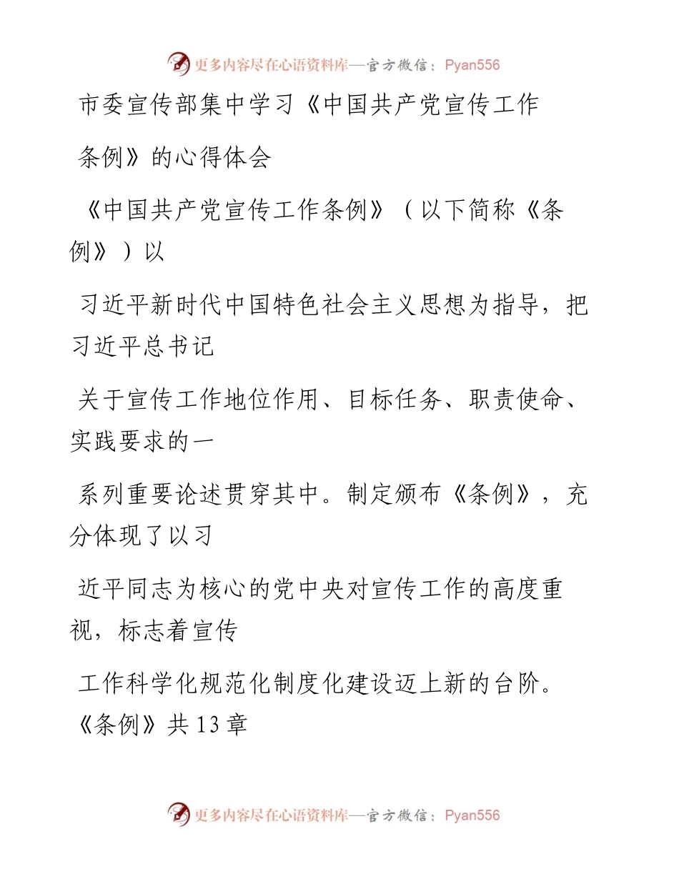 20230325：市委宣传部集中学习《中国共产党宣传工作条例》的心得体会.docx_第1页
