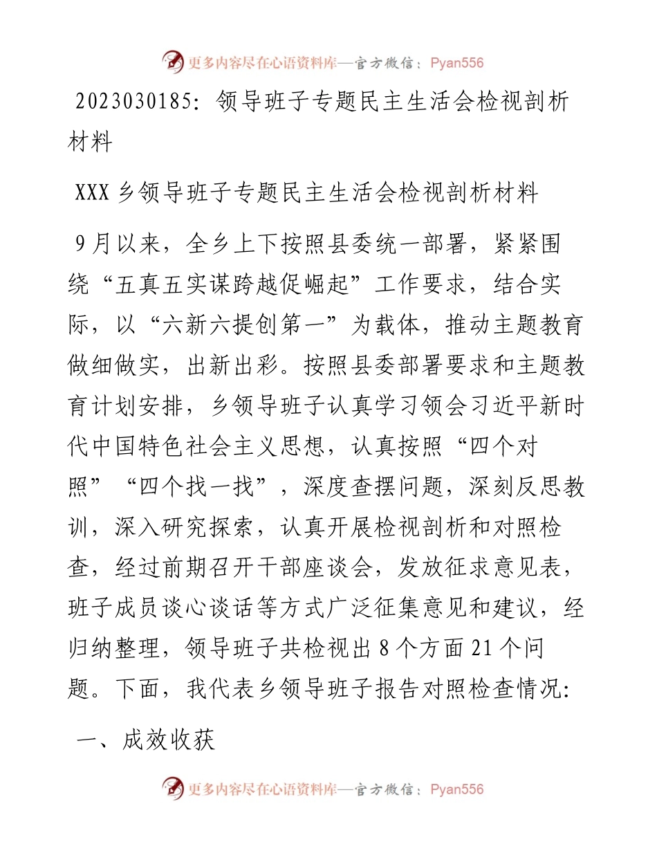 20230302：领导班子专题民主生活会检视剖析材料.docx_第1页
