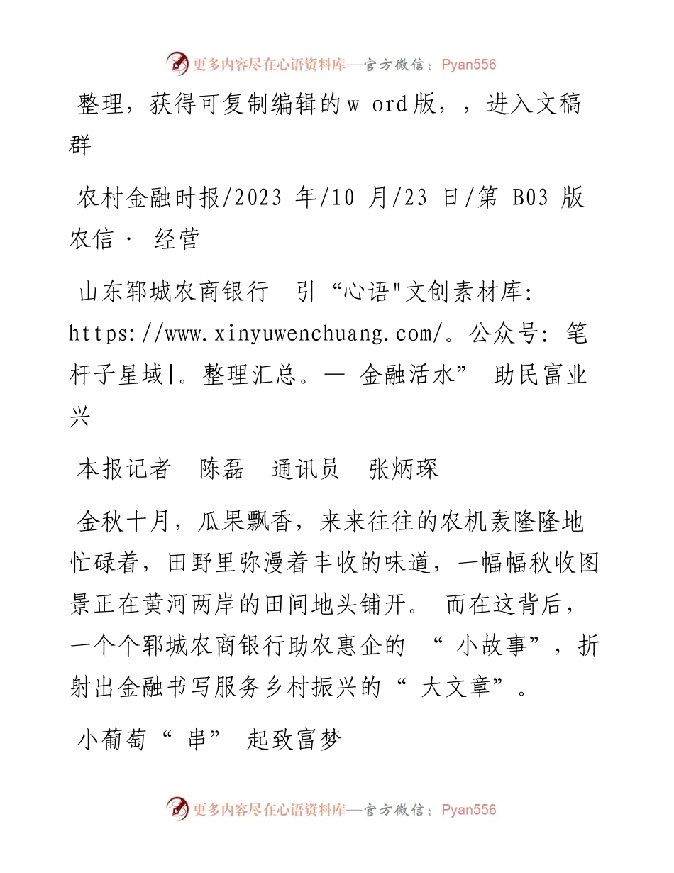 2023.10.23本报记者陈磊通讯员张炳琛：山东郓城农商银行引金融活水助民富业兴.docx_第1页