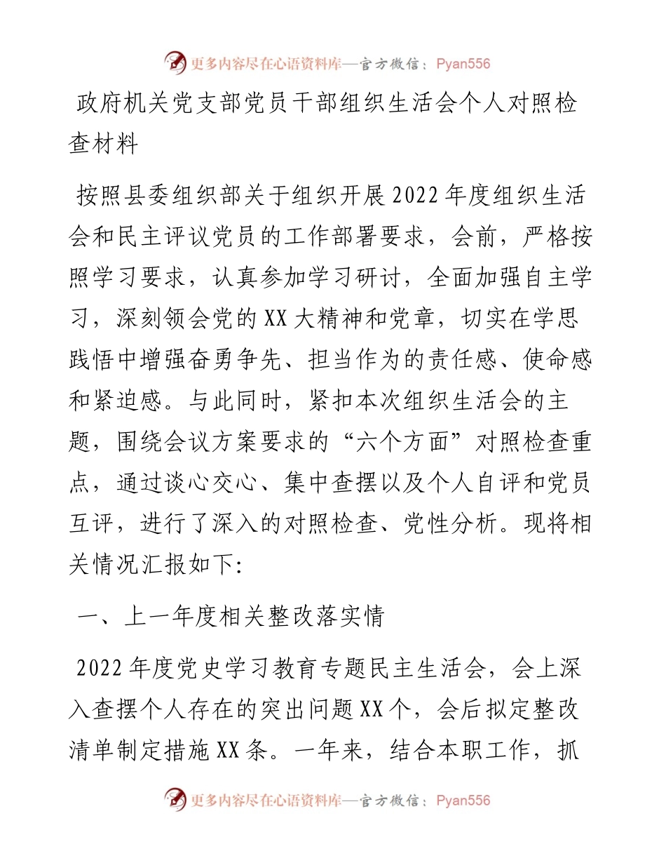 20230307：政府机关党支部党员干部组织生活会个人对照检查材料.docx_第1页