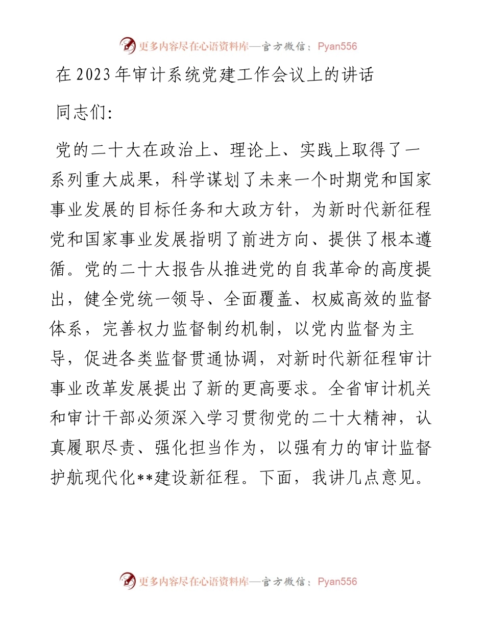 20230403：在2023年审计系统党建工作会议上的讲话.docx_第1页