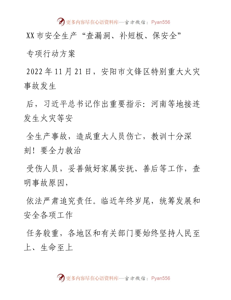 20230406：XX市安全生产查漏洞、补短板、保安全专项行动方案.docx_第1页