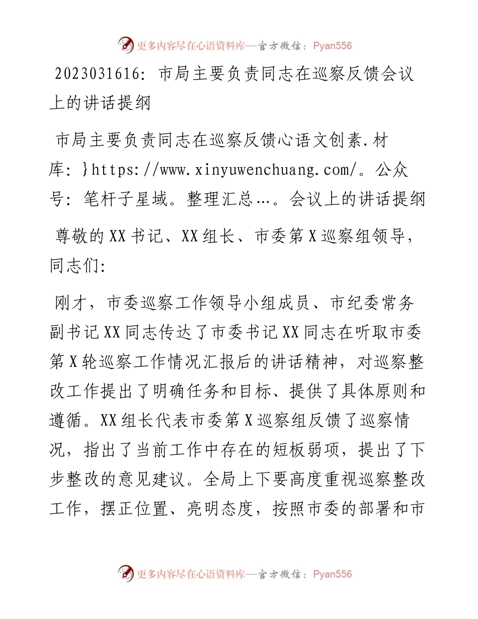 20230317：市局主要负责同志在巡察反馈会议上的讲话提纲.docx_第1页