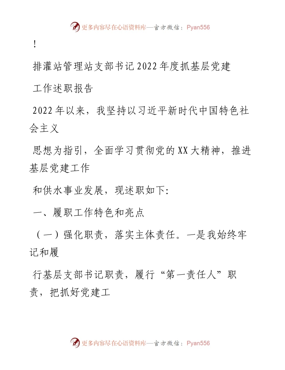 20230324：排灌站管理站支部书记度抓基层党建工作述职报告.docx_第1页