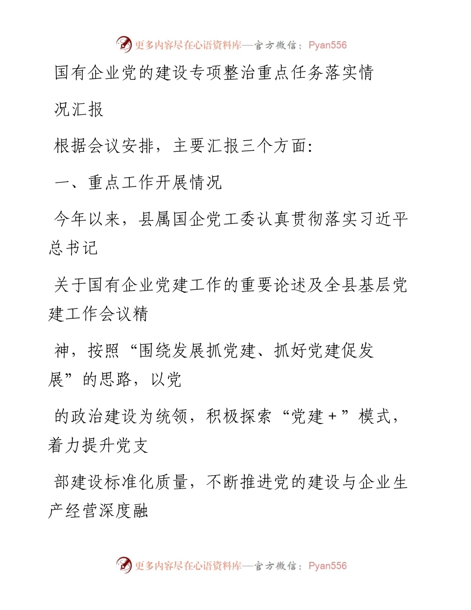 20230414：国有企业党的建设专项整治重点任务落实情况汇报.docx_第1页