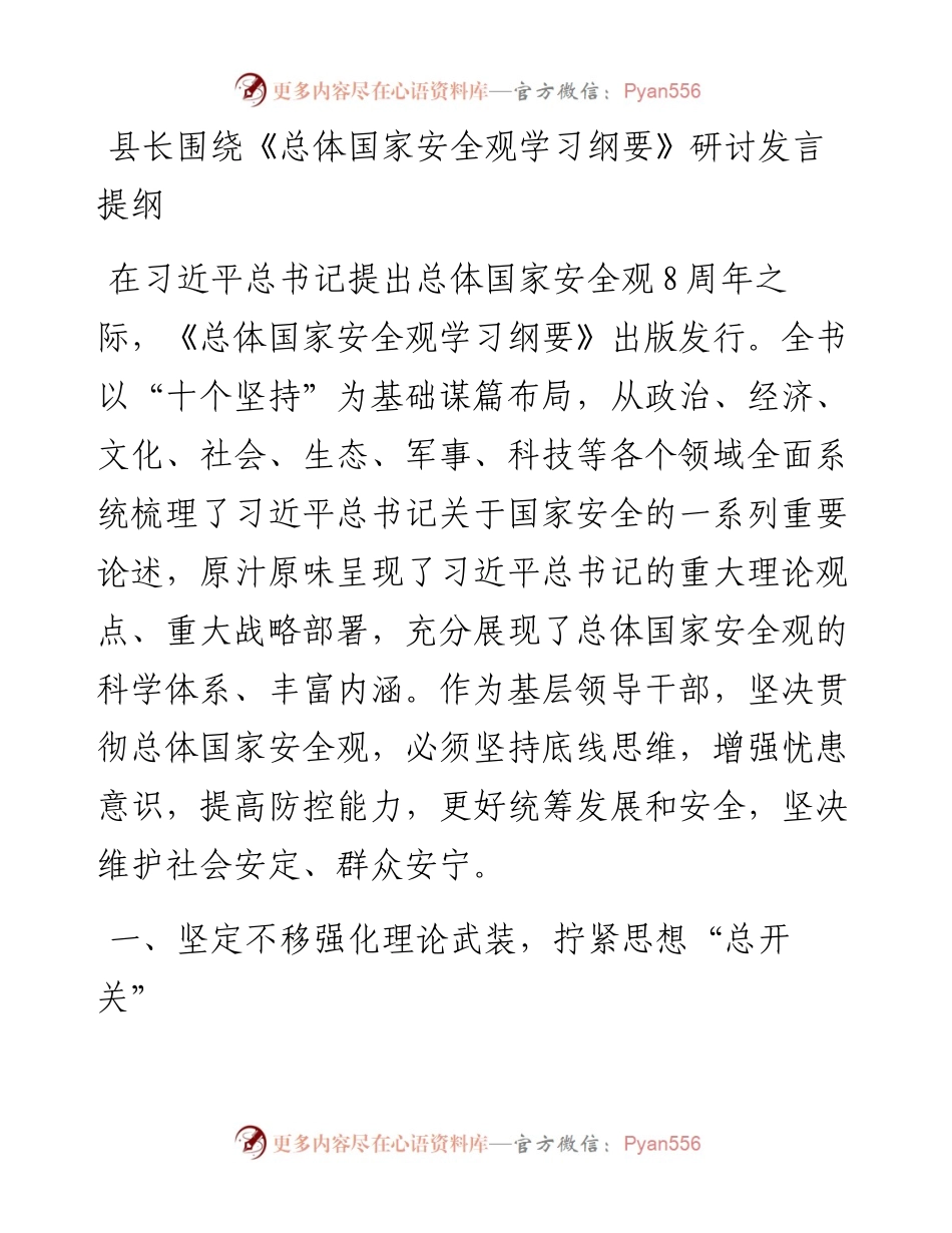 20230318：县长围绕《总体国家安全观学习纲要》研讨发言提纲.docx_第1页