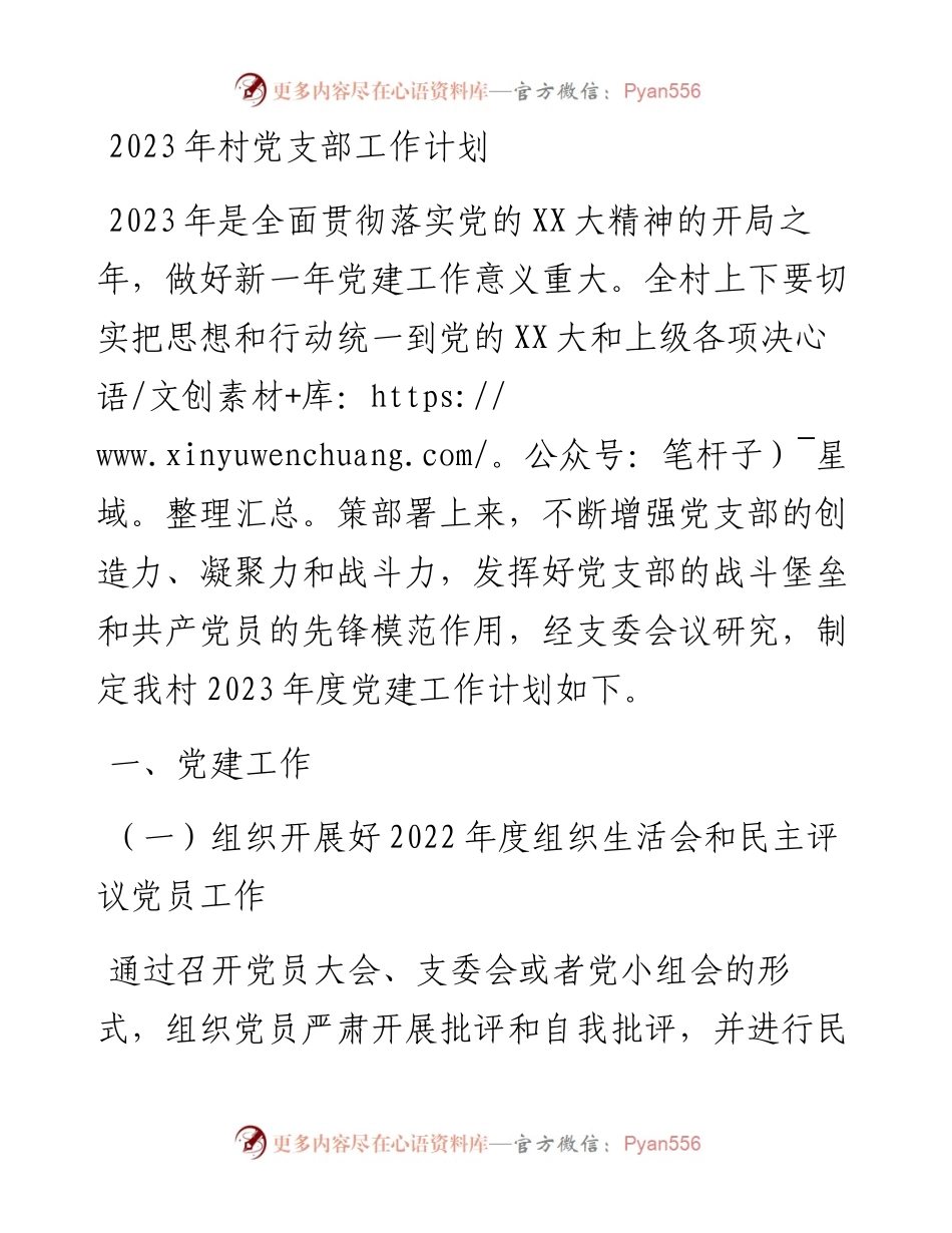 2023年村党支部工作计划.docx_第1页