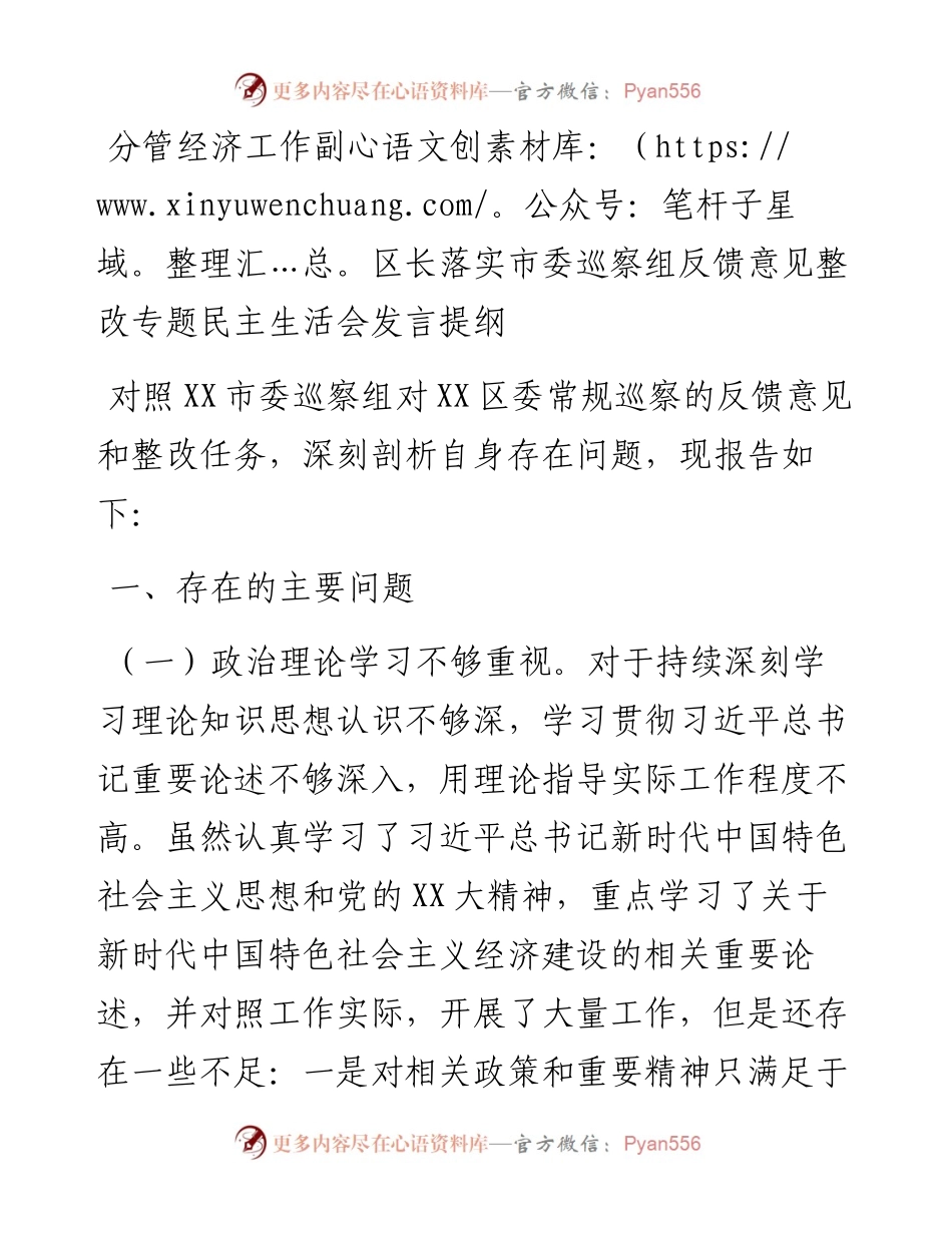 20230303：分管经济工作副区长落实市委巡察组反馈意见整改专题民主生活会发言提纲.docx_第1页