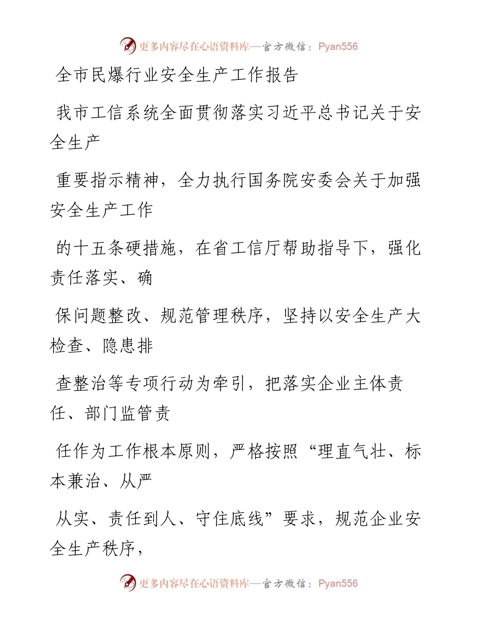 20230405：全市民爆行业安全生产工作报告.docx_第1页