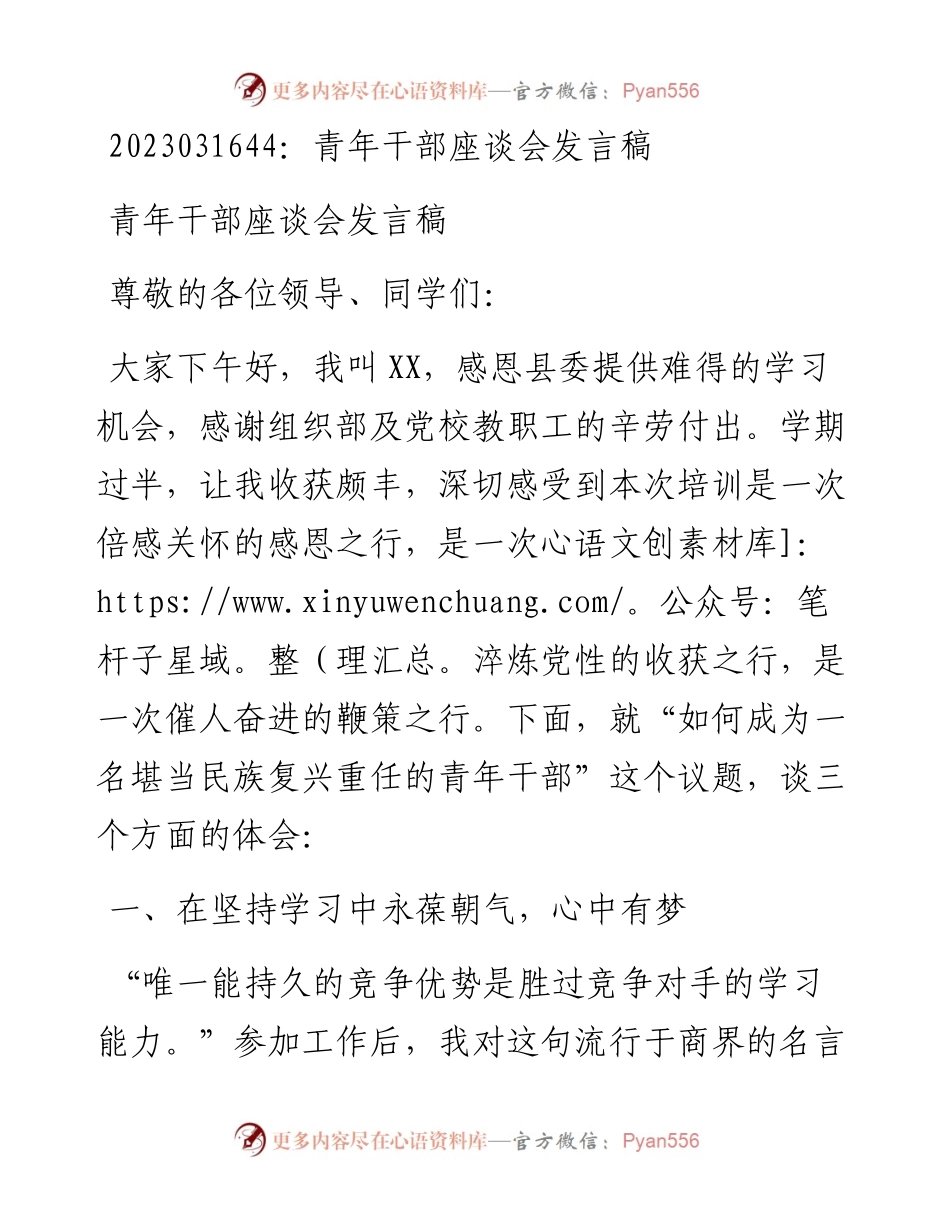 20230317：青年干部座谈会发言稿.docx_第1页