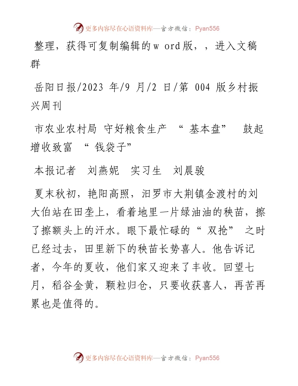 2023.09.02本报记者刘燕妮实习生刘晨骏：市农业农村局守好粮食生产基本盘鼓起增收致富钱袋子.docx_第1页