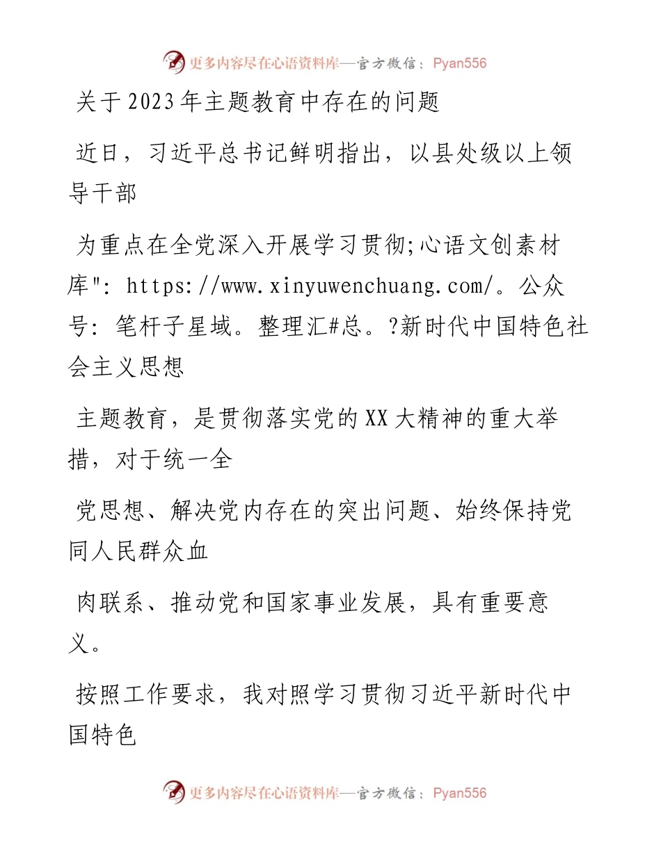 20230412：关于2023年主题教育中存在的问题.docx_第1页