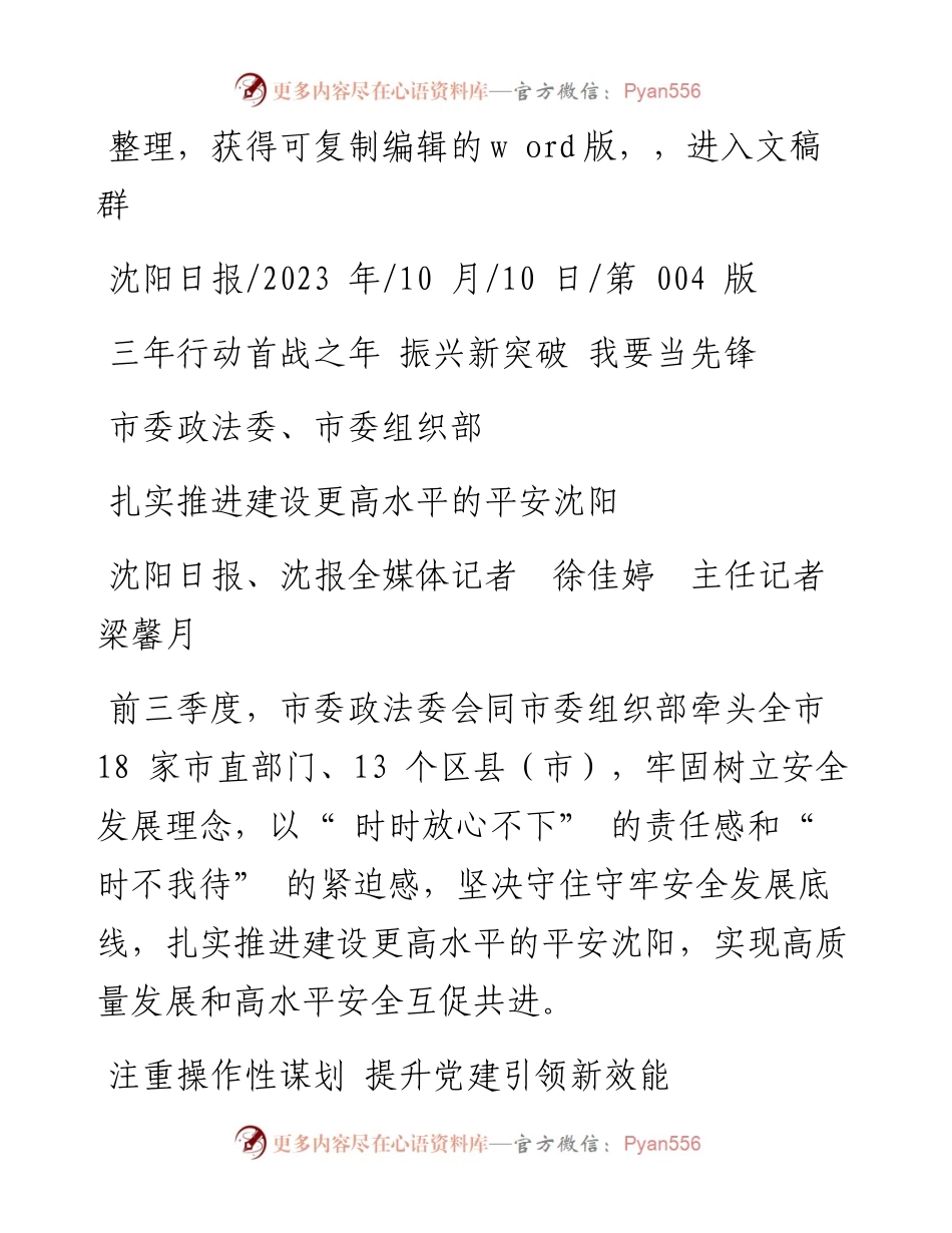 2023.10.10沈阳日报、沈报全媒体记者徐佳婷主任记者梁馨月：扎实推进建设更高水平的平安沈阳.docx_第1页