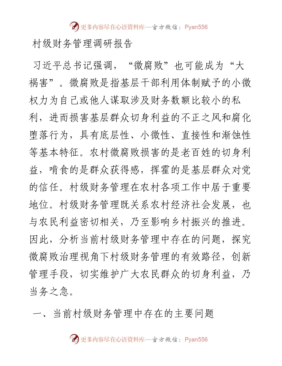 20230421：村级财务管理调研报告.docx_第1页