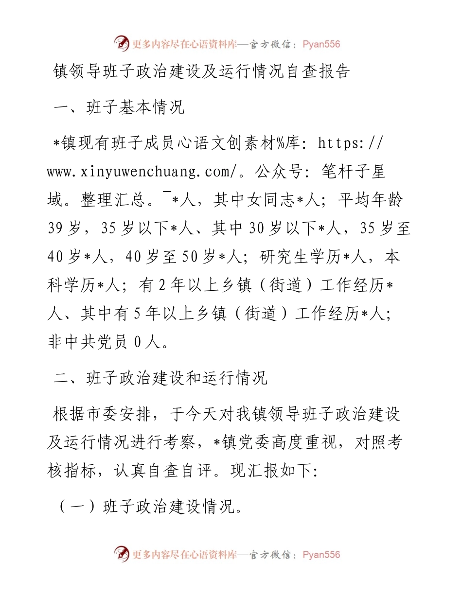 20230313：镇领导班子政治建设及运行情况自查报告.docx_第1页