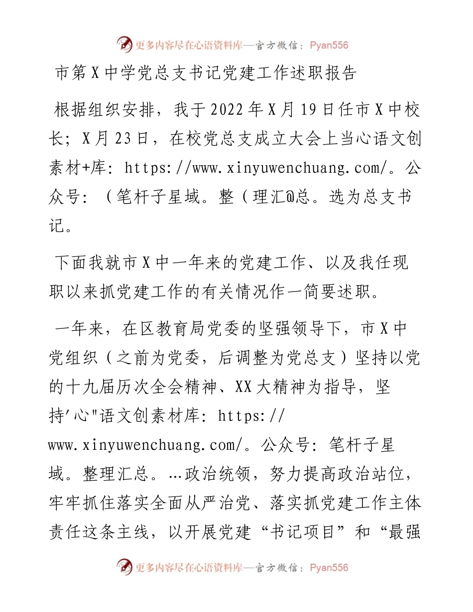 20230409：XX市第X中学党总支书记党建工作述职报告.docx_第1页