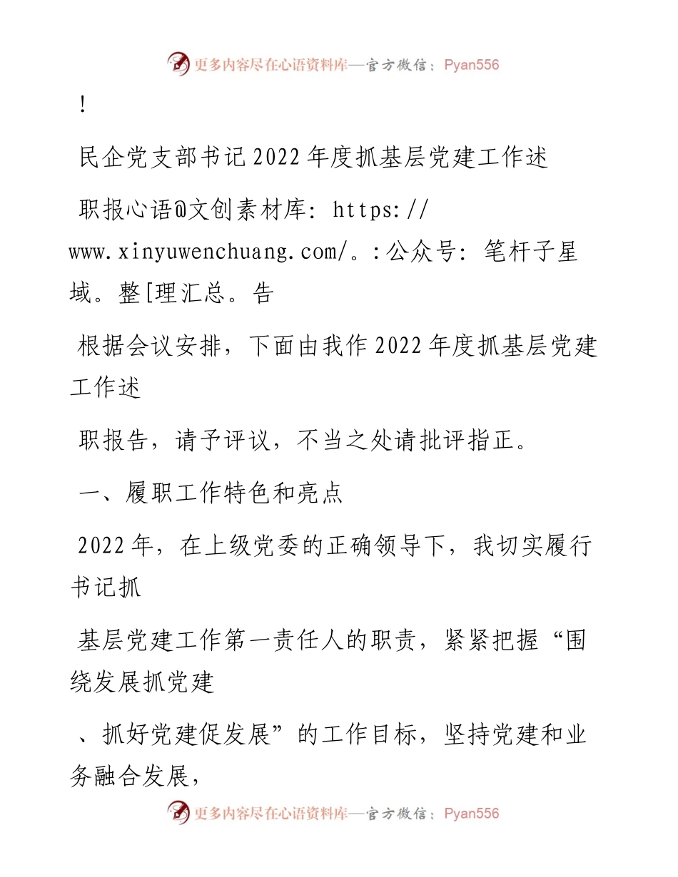 20230324：民企党支部书记度抓基层党建工作述职报告.docx_第1页
