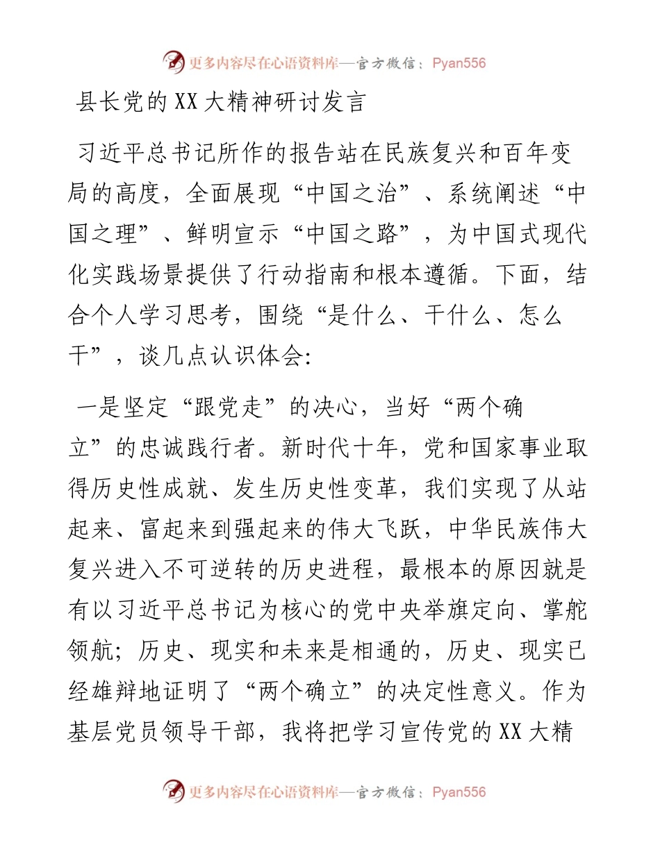 20230318：县长党的二十大精神研讨发言.docx_第1页