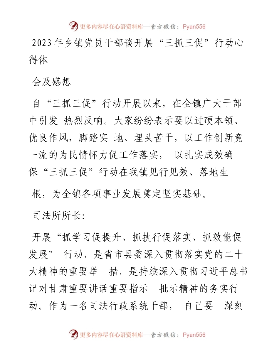 2023年乡镇党员干部谈开展“三抓三促”行动心得体会及感想.docx_第1页