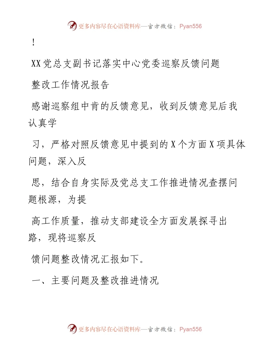 20230324：XX党总支副书记落实中心党委巡察反馈问题整改工作情况报告.docx_第1页