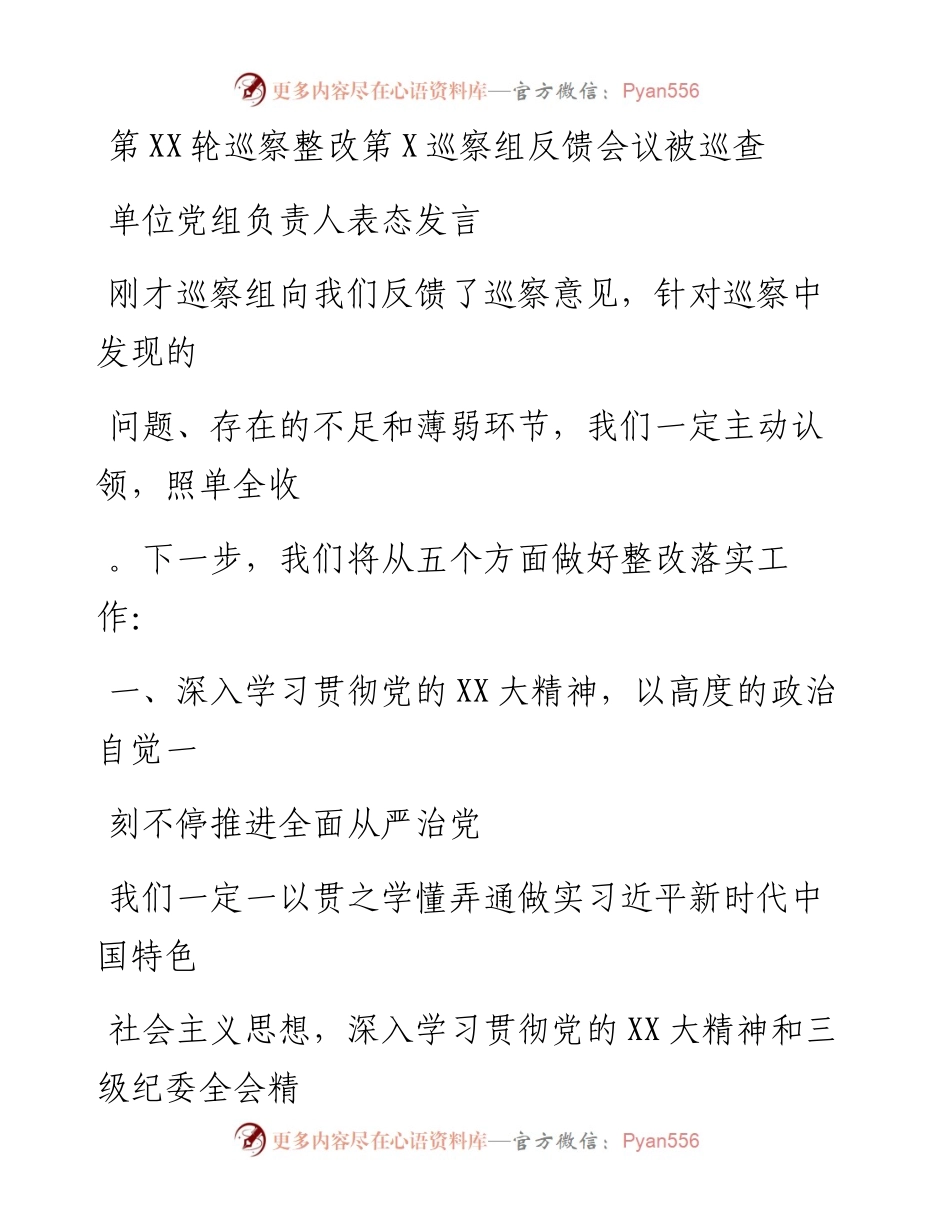 20230412：第XX轮巡察整改第X巡察组反馈会议被巡查单位党组负责人表态发言.docx_第1页