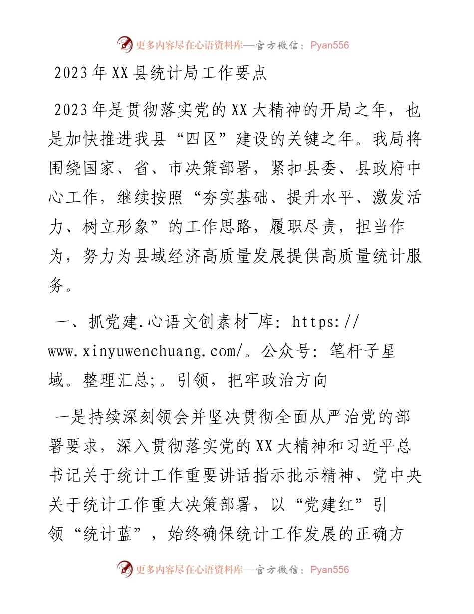 20230308：2023年XX县统计局工作要点.docx_第1页