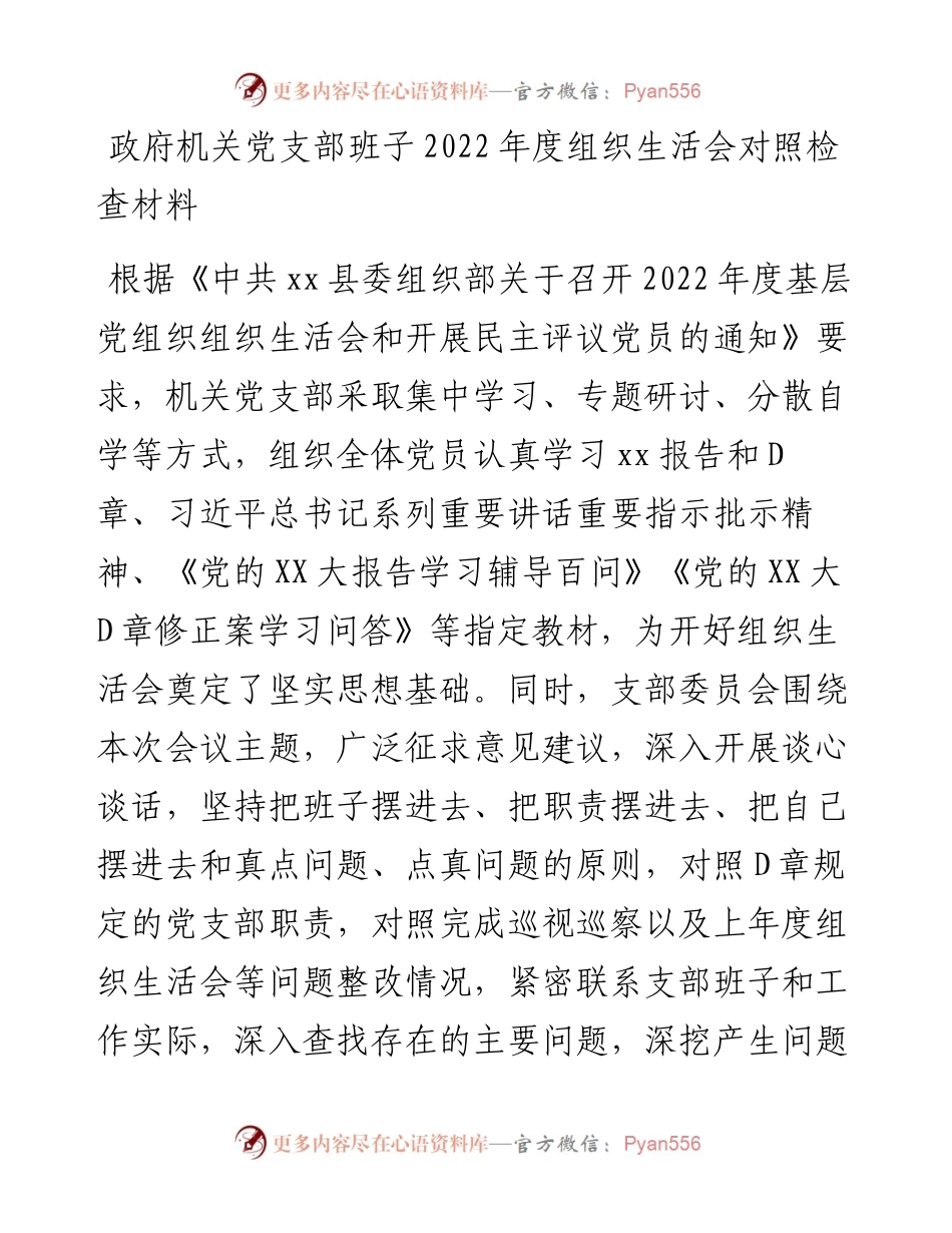 20230307：政府机关党支部班子度组织生活会对照检查材料.docx_第1页