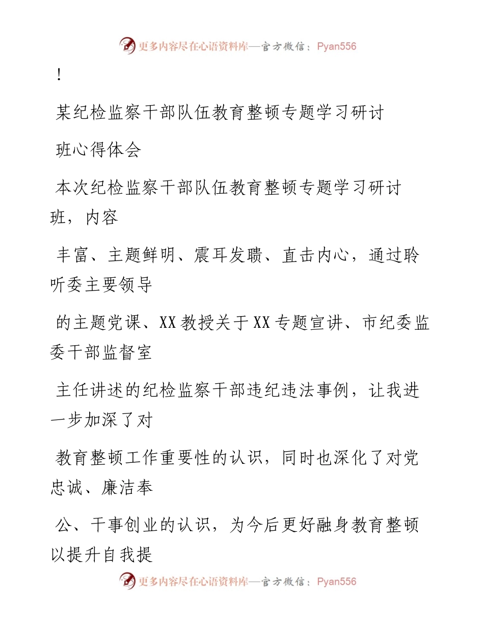 20230324：某纪检监察干部队伍教育整顿专题学习研讨班心得体会.docx_第1页