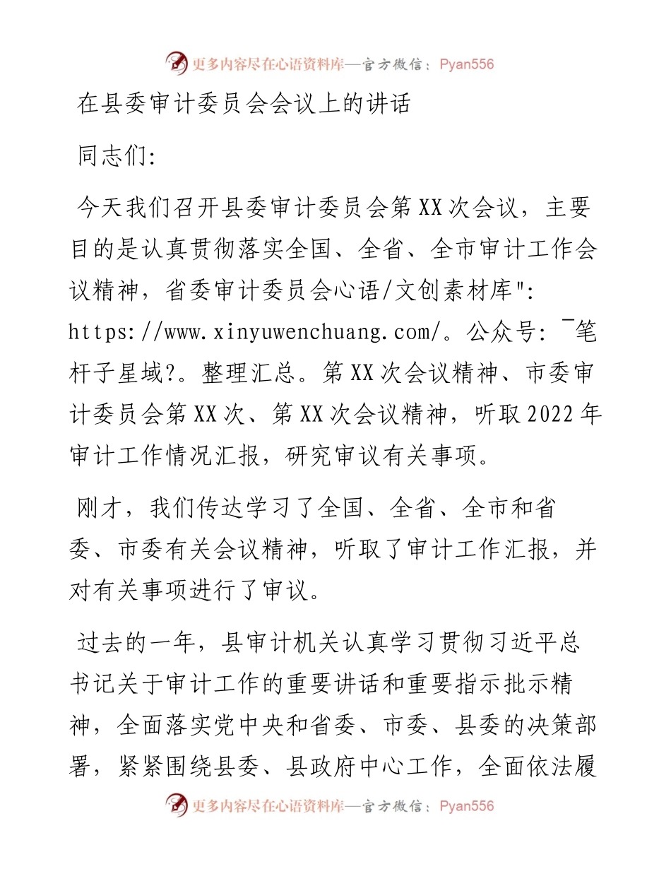 20230319：在县委审计委员会会议上的讲话.docx_第1页