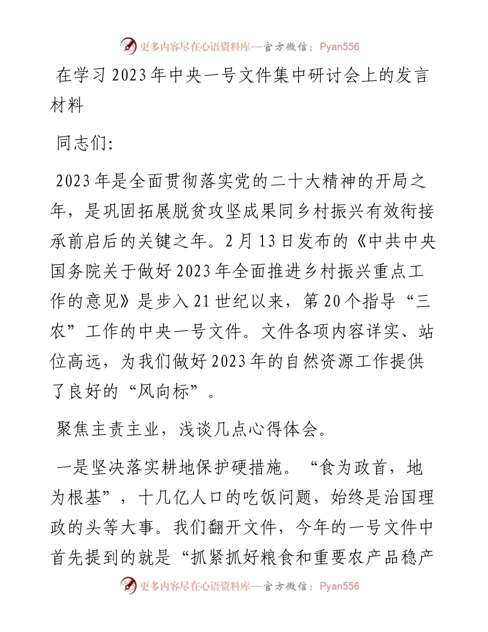 20230313：在学习2023年中央一号文件集中研讨会上的发言材料.docx_第1页