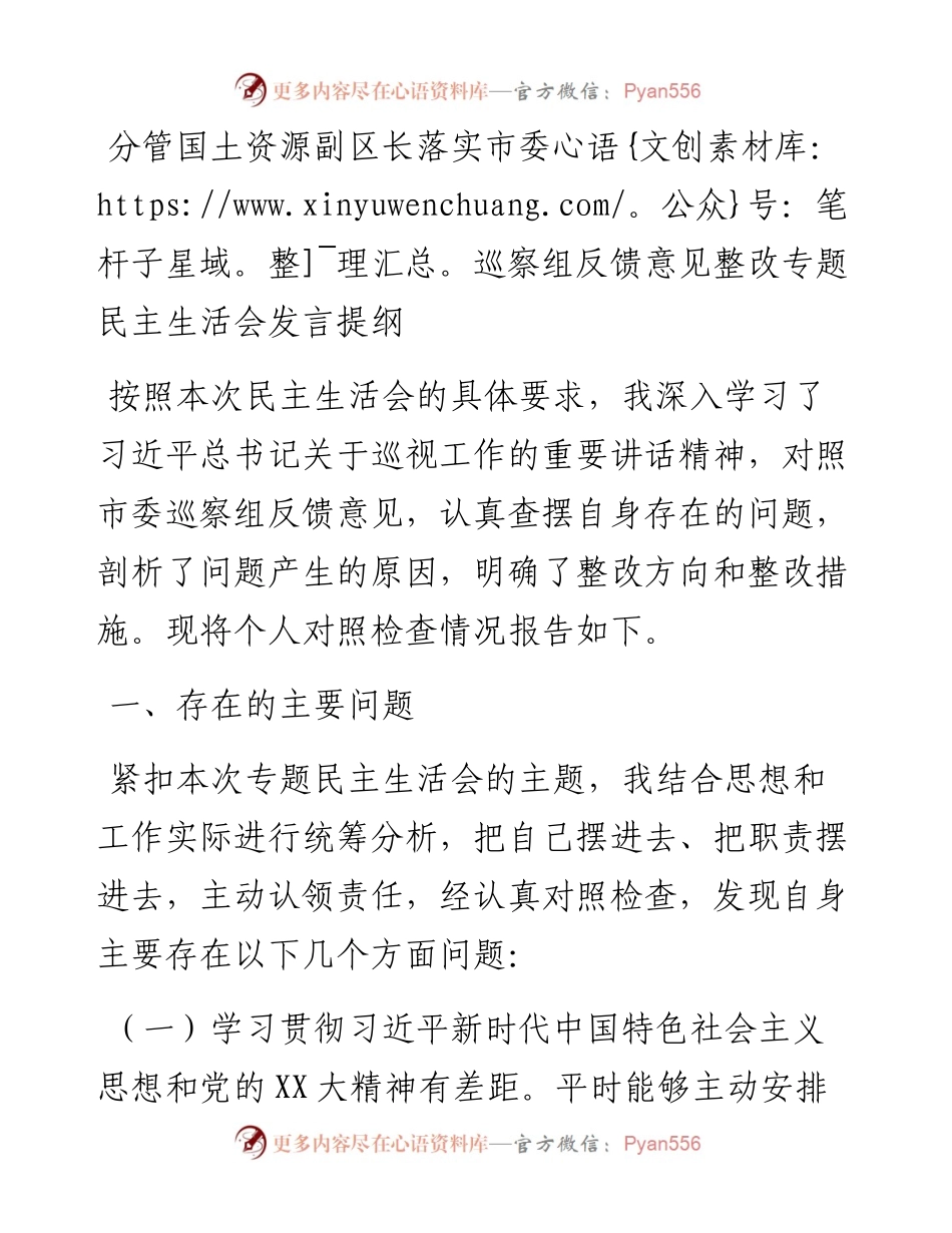 20230303：分管国土资源副区长落实市委巡察组反馈意见整改专题民主生活会发言提纲.docx_第1页