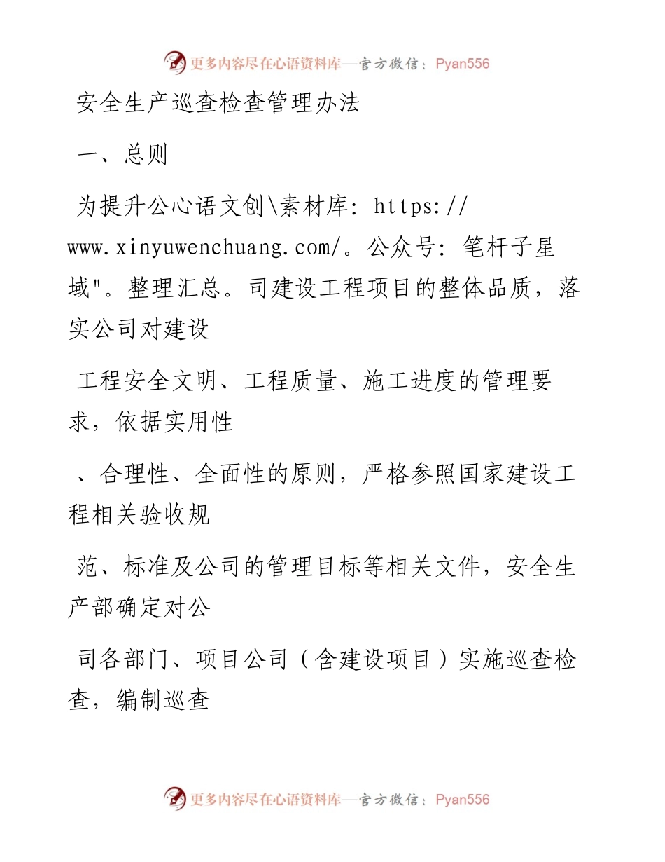 20230331：安全生产巡查检查管理办法.docx_第1页