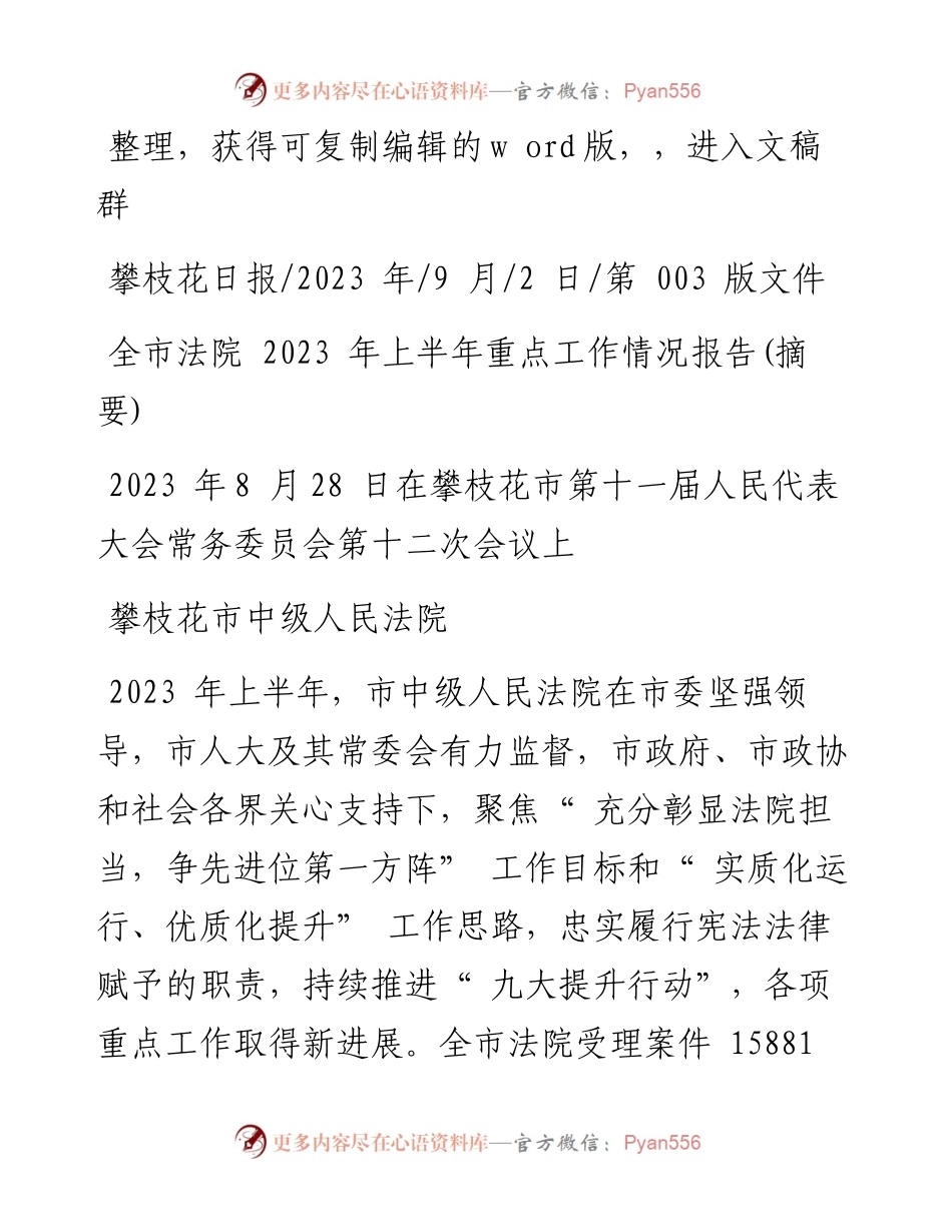 2023.09.02攀枝花市中级人民法院：全市法院2023年上半年重点工作情况报告(摘要).docx_第1页