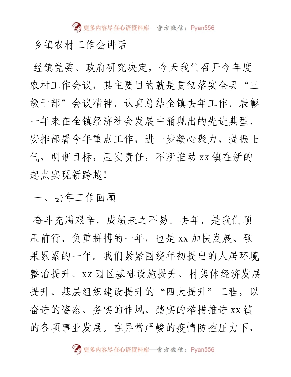 20230309：乡镇农村工作会讲话.docx_第1页