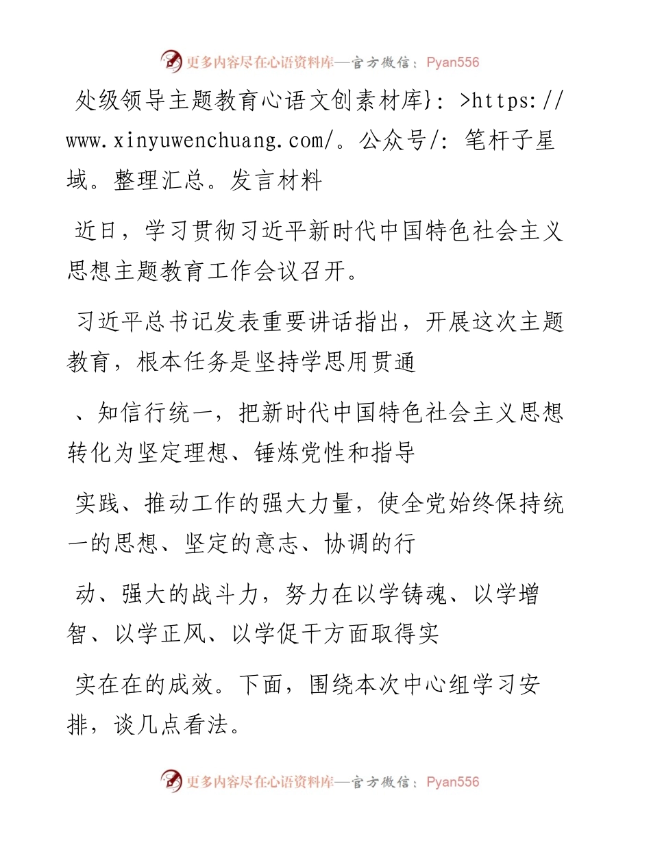 20230413：处级领导主题教育发言材料.docx_第1页