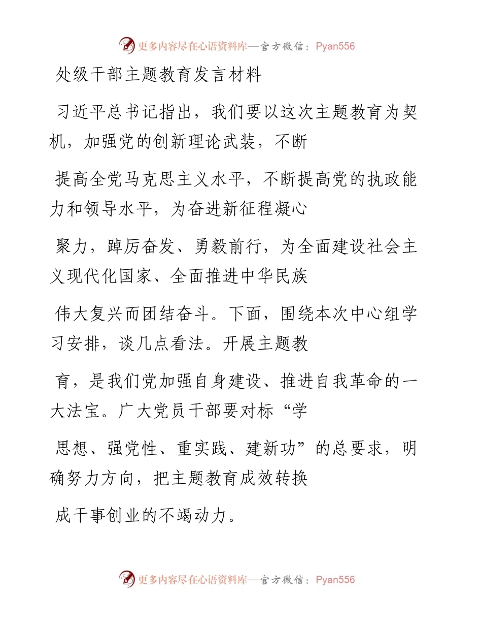 20230413：处级干部主题教育发言材料.docx_第1页