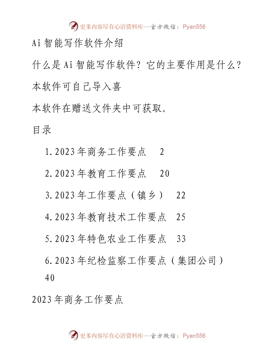 2023年工作要点.docx_第1页
