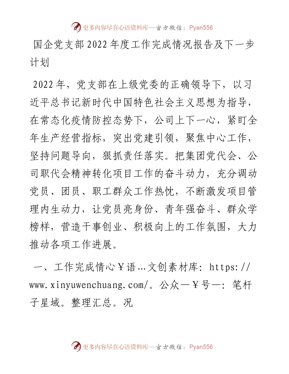 20230316：国企党支部度工作完成情况报告及下一步计划.docx_第1页