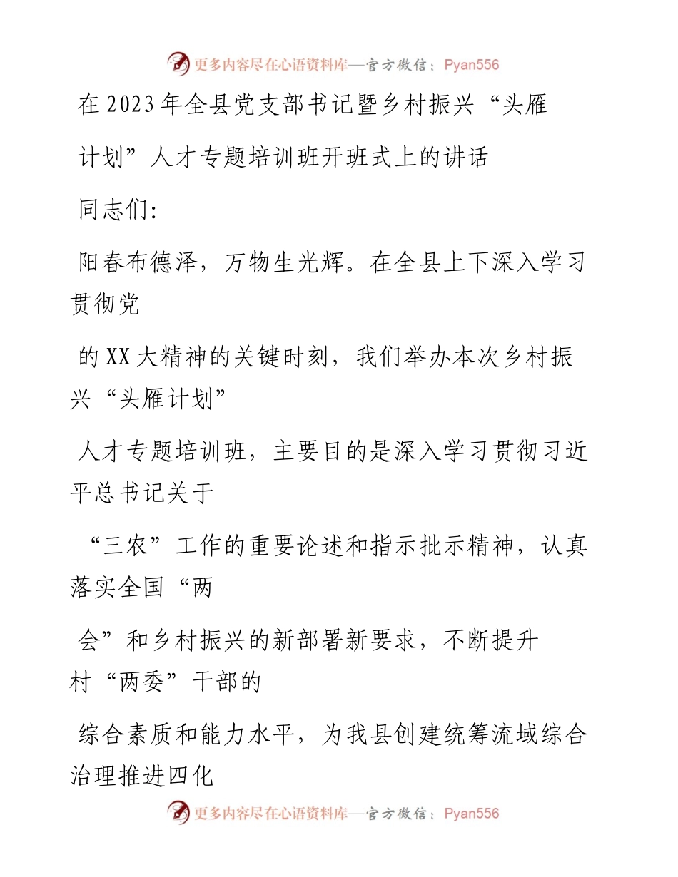 20230325：县委组织部长在全县党支部书记暨乡村振兴头雁计划人才专题培训班上的讲话.docx_第1页