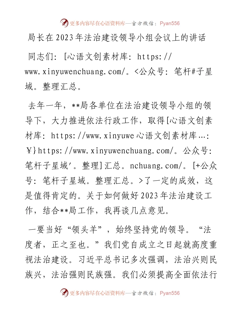 20230403：局长在2023年法治建设领导小组会议上的讲话.docx_第1页
